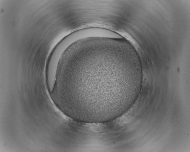 X0000088590902200706081325