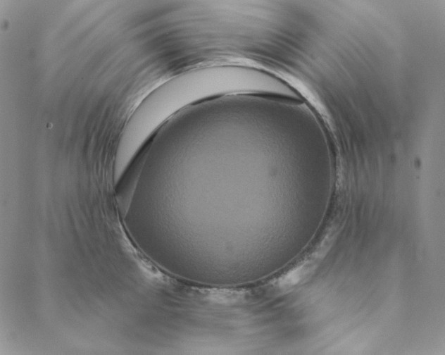 X0000088590905200706081325