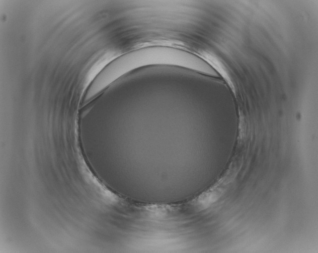 X0000088590906200706081325