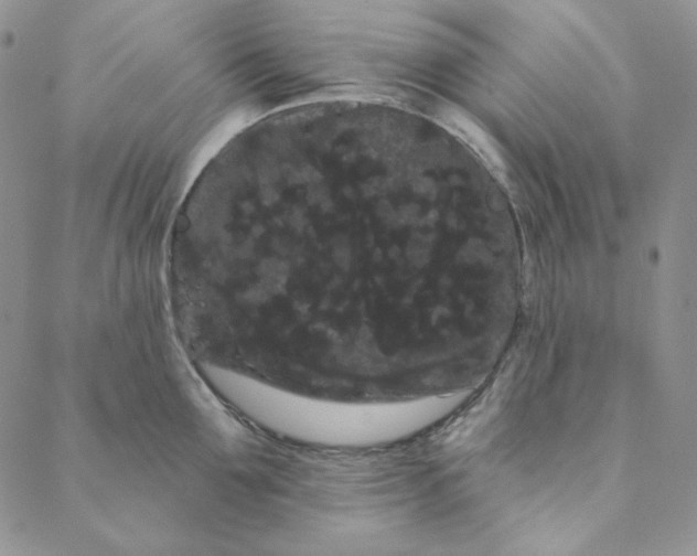 X0000088590907200706081325