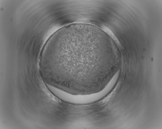 X0000088590908200706081325