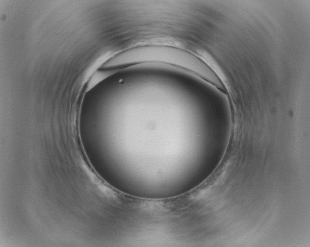 X0000088590909200706081325