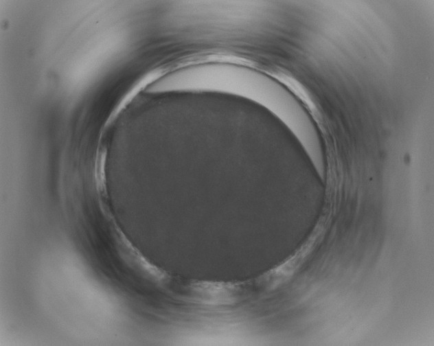 X0000088590910200706081325