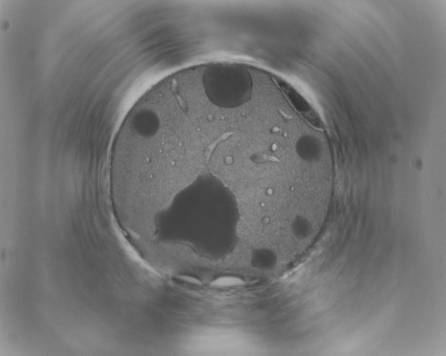 X0000088590911200706081325