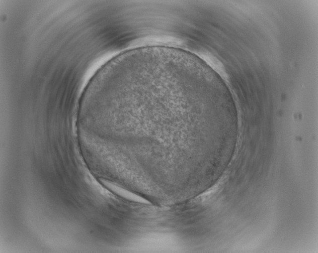 X0000088590912200706081325