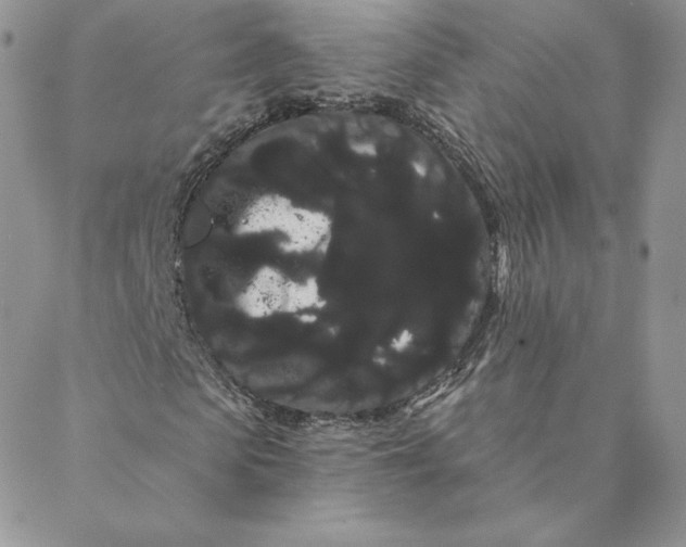 X0000088590913200706081324