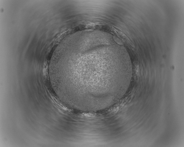 X0000088590914200706081324