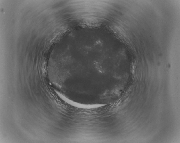 X0000088590915200706081324