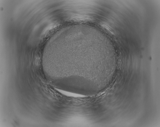 X0000088590917200706081324