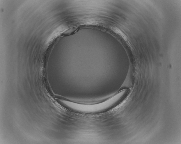 X0000088590922200706081324