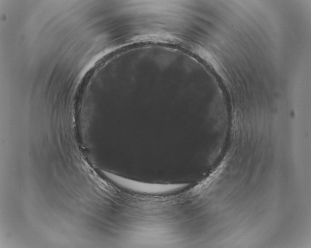 X0000088590923200706081324