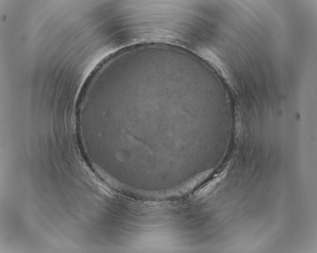 X0000088590924200706081324