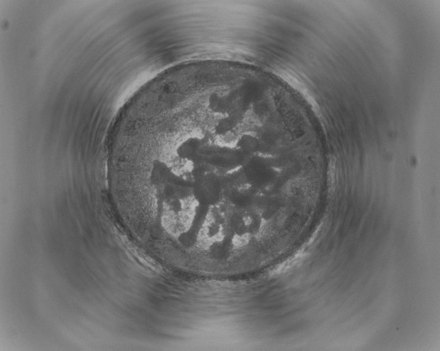 X0000088590925200706081324