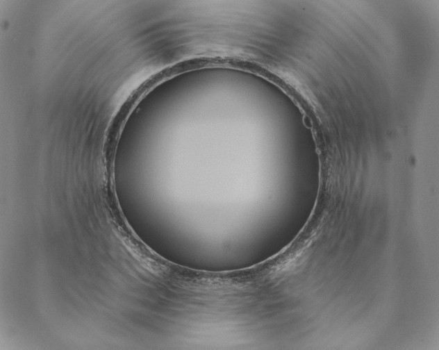 X0000088590927200706081324