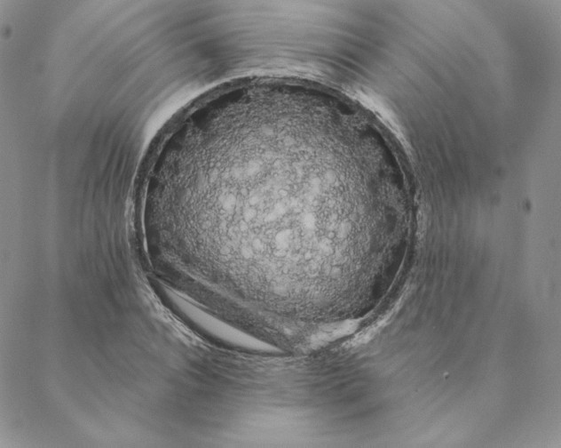 X0000088590928200706081324