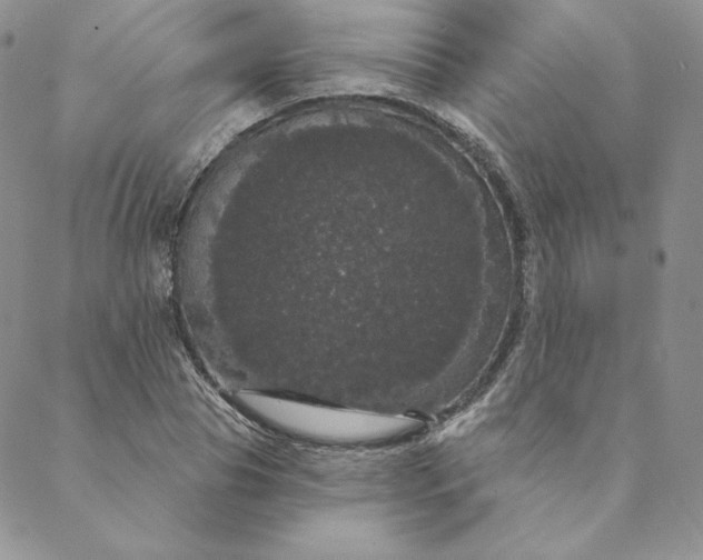 X0000088590929200706081324