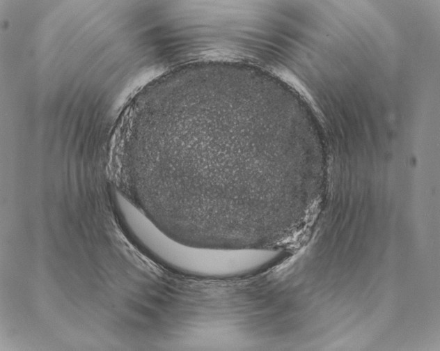 X0000088590930200706081324