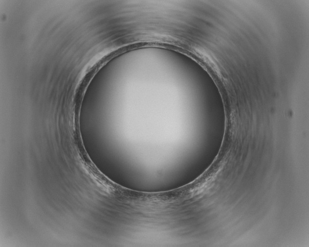 X0000088590931200706081324