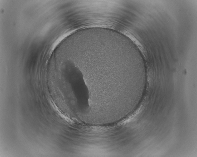 X0000088590933200706081324