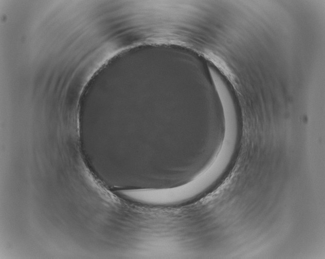 X0000088590934200706081324