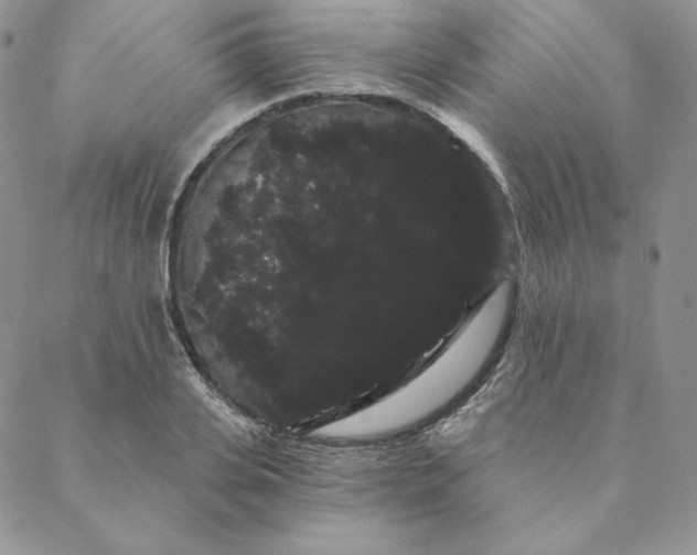 X0000088590935200706081324