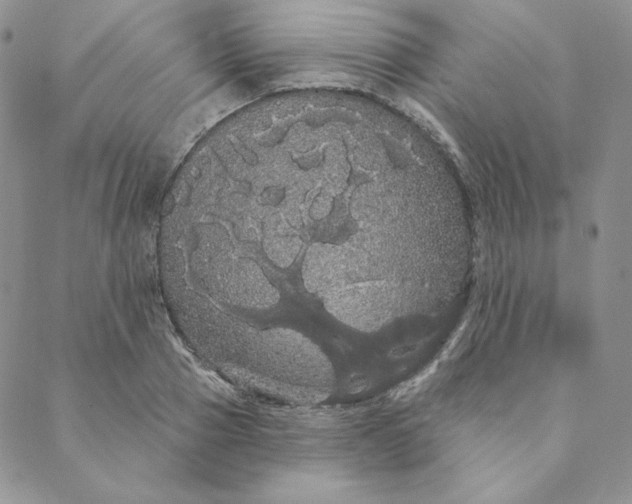 X0000088590937200706081324