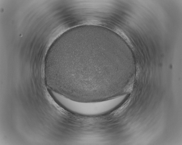 X0000088590939200706081324