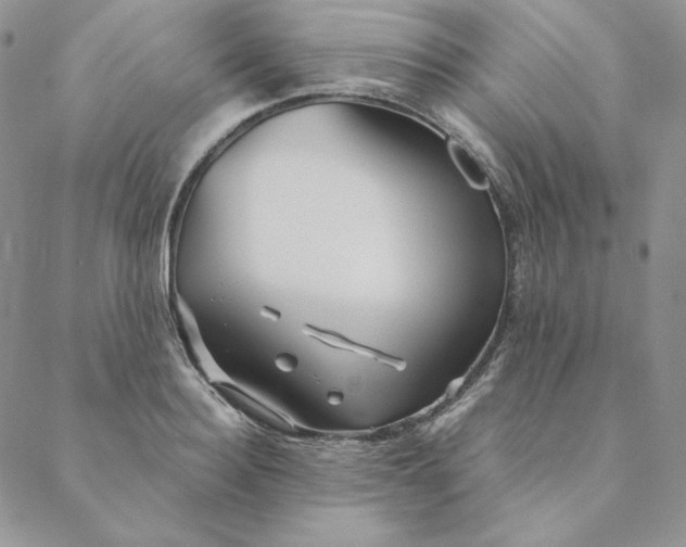 X0000088590940200706081324