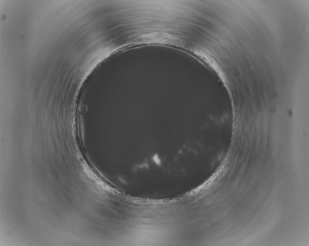 X0000088590941200706081324