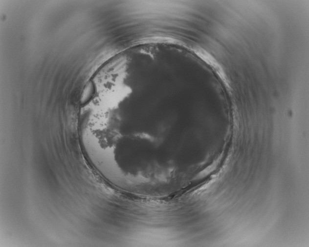 X0000088590945200706081324