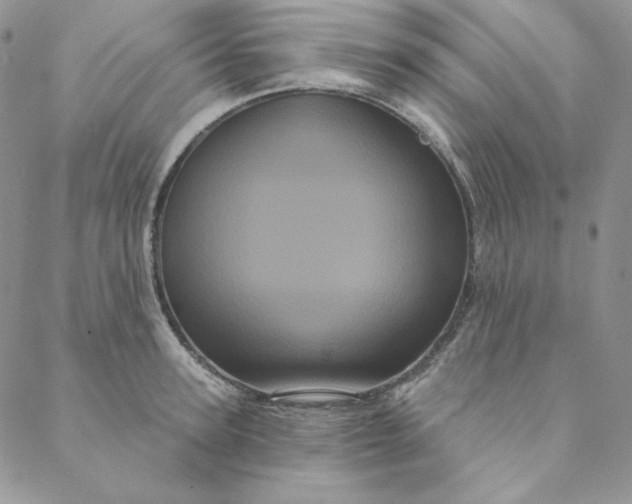 X0000088590947200706081324