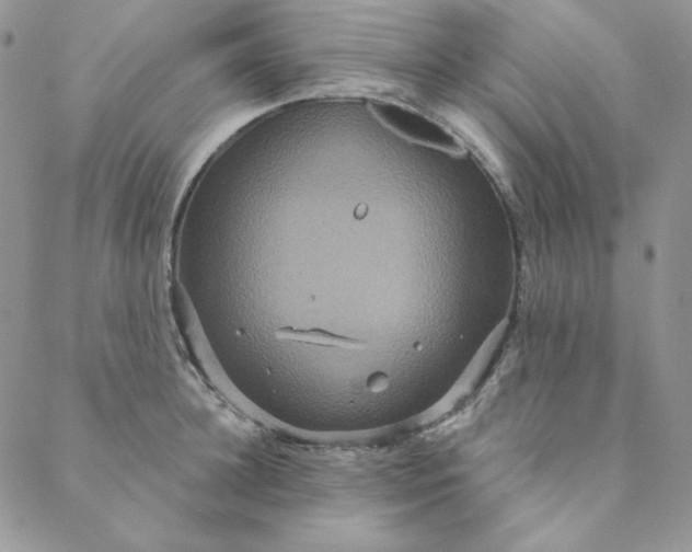 X0000088590948200706081324