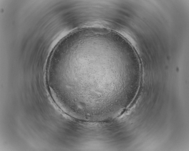 X0000088590949200706081324