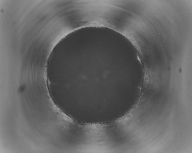 X0000088590950200706081324