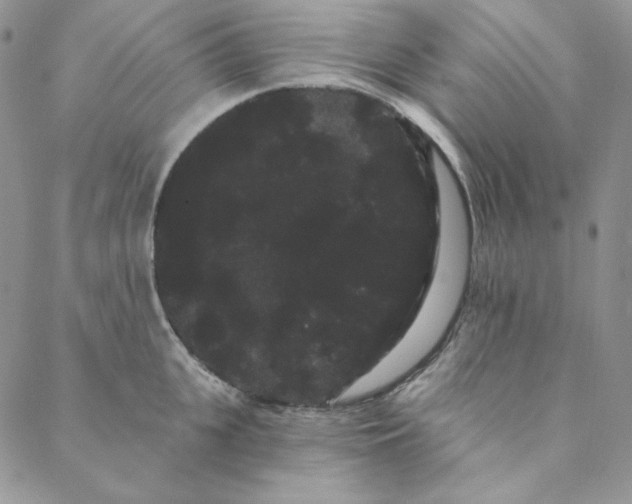 X0000088590951200706081324