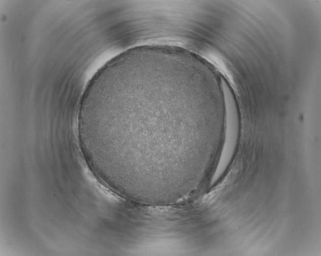 X0000088590952200706081324