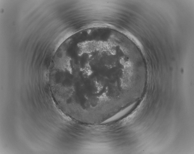 X0000088590953200706081324