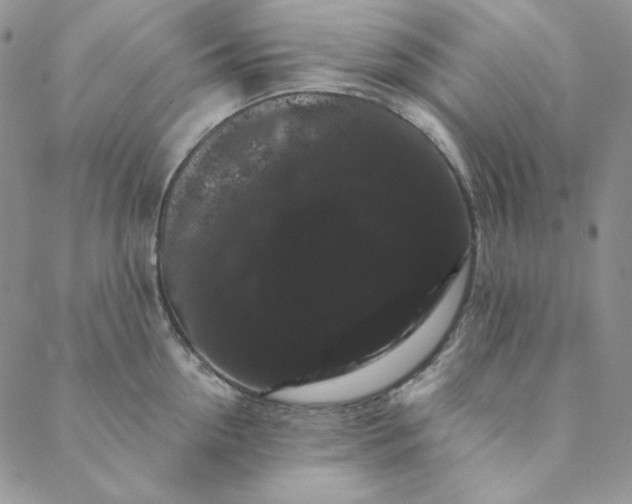 X0000088590954200706081324