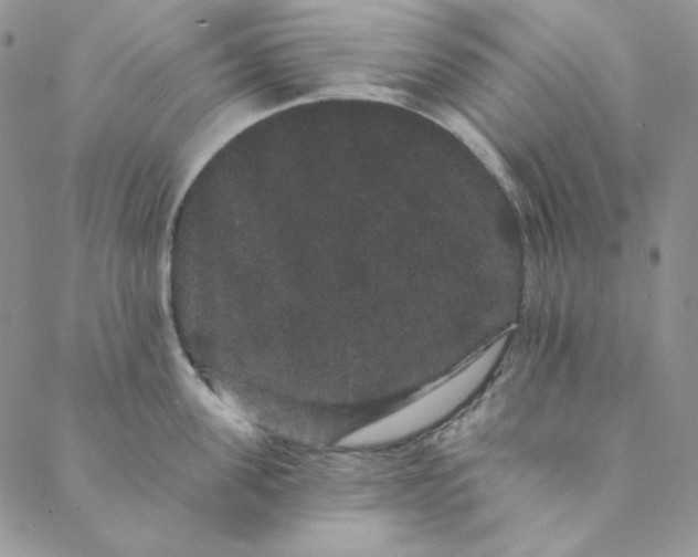 X0000088590955200706081324