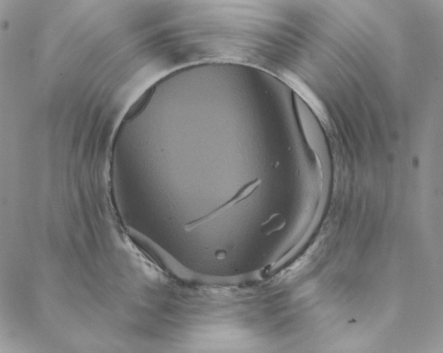 X0000088590956200706081324