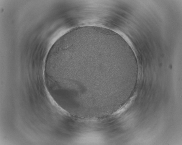 X0000088590957200706081324