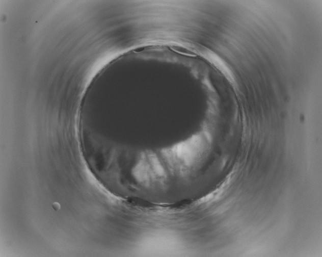 X0000088590958200706081324