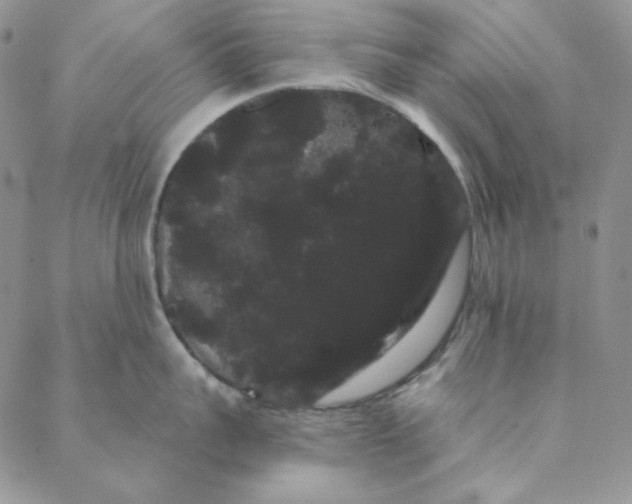 X0000088590959200706081324