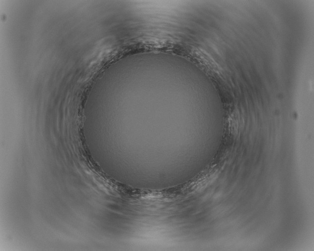 X0000088590961200706081324