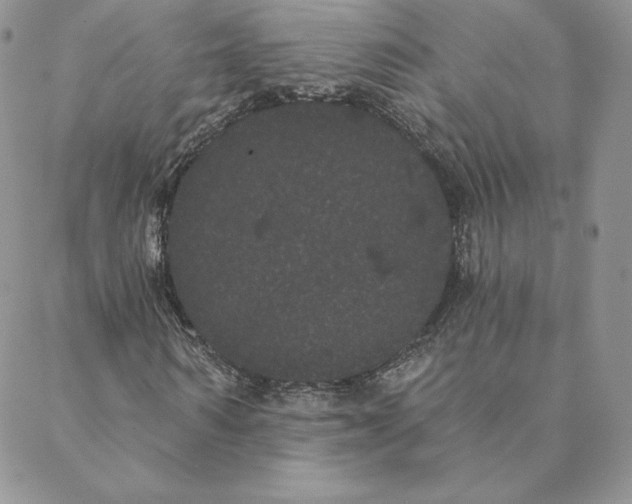 X0000088590962200706081324