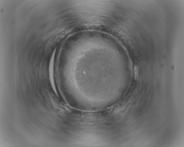 X0000088590963200706081324