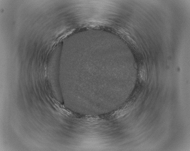 X0000088590964200706081324