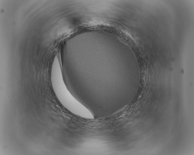 X0000088590965200706081324