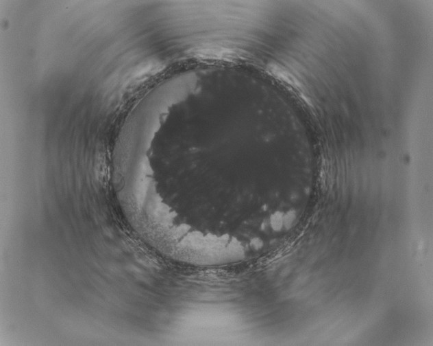 X0000088590966200706081324