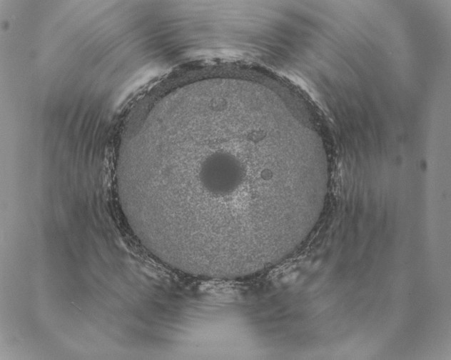 X0000088590967200706081324